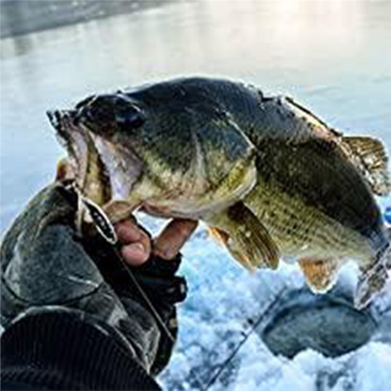 ABLB-Kayak Boat Fishfinder Tra - Fish Finder Transducer 评论和价格